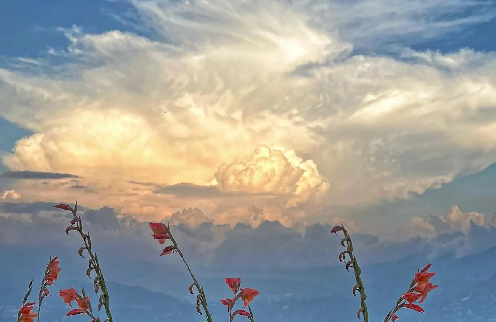 Joy Source Resort Katmandu 0*,