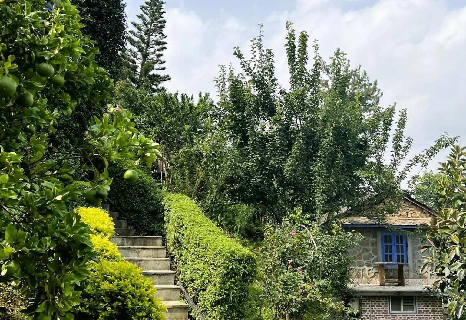 Joy Source Resort Katmandou